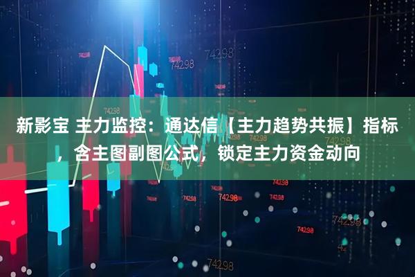 新影宝 主力监控：通达信【主力趋势共振】指标，含主图副图公式，锁定主力资金动向